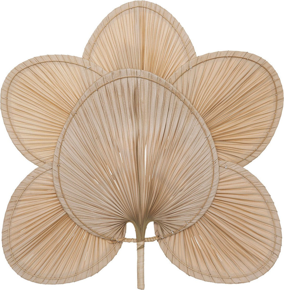 Atmosphera Selma Wanddekoration Palmblatt 70x4x70cm - Natur