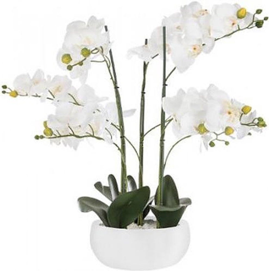 KÜNSTLICHE ORCHIDEE - Orchideenblüte - WEISS - WEISSER KERAMIKTOPF - HÖHE 65 CM