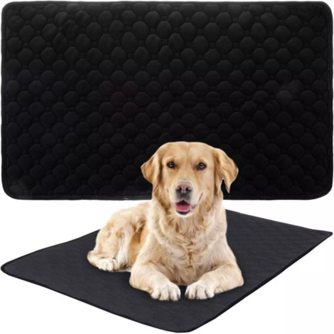 Purlov Reusable Hygienic Pad 70 x 50 cm: Comfort for Your Pet