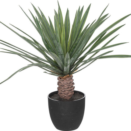 Atmosphera Plante artificielle Rivi - Plante avec pot - Ø50x52cm - Vert