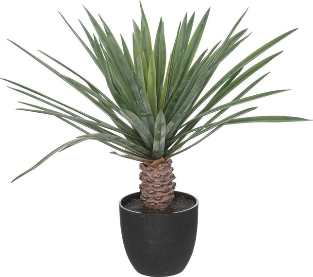 Atmosphera Plante artificielle Rivi - Plante avec pot - Ø50x52cm - Vert
