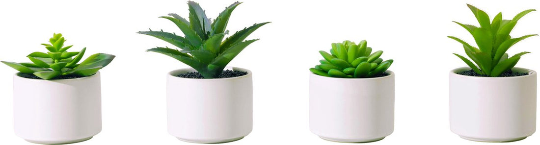 Atmosphera Artificial Plant - Fake Plant - White - Set of 4 - For Indoor Use - With Pot