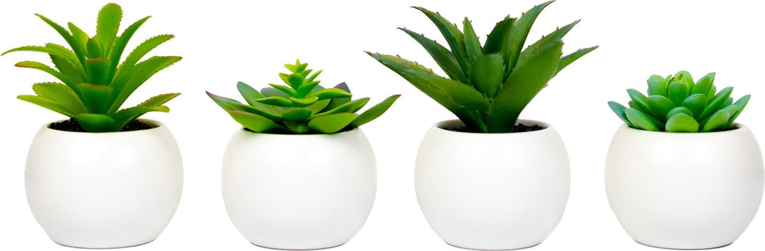 Atmosphera Artificial Plant - Fake Plant - White - Set of 4 - For Indoor Use - With Pot - Round