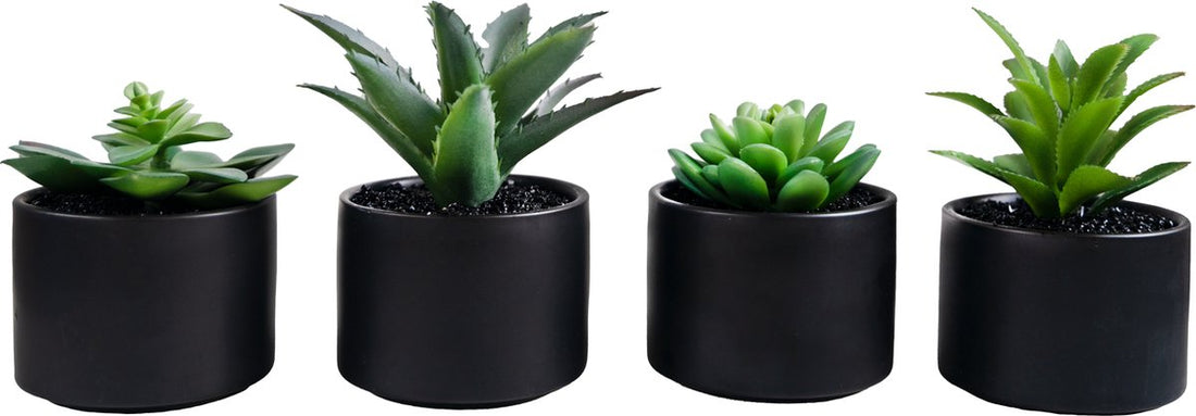 Atmosphera Artificial Plant - Fake Plant - Black - Set of 4 - For Indoor Use - With Pot