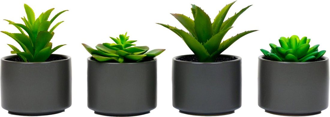 Atmosphera Kunstplant - Nepplant - Grijs - Set van 4 - Voor Binnen - Met Pot