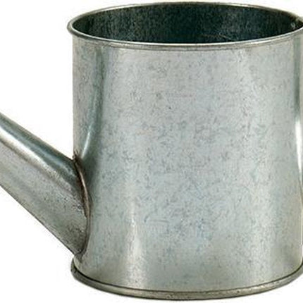 Ibergarden Arrosoir Pot de fleurs 24,5 x 11 x 11 cm Zinc Gris argenté