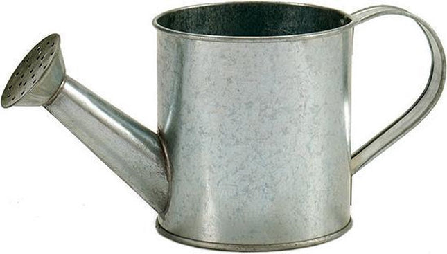 Ibergarden Arrosoir Pot de fleurs 24,5 x 11 x 11 cm Zinc Gris argenté