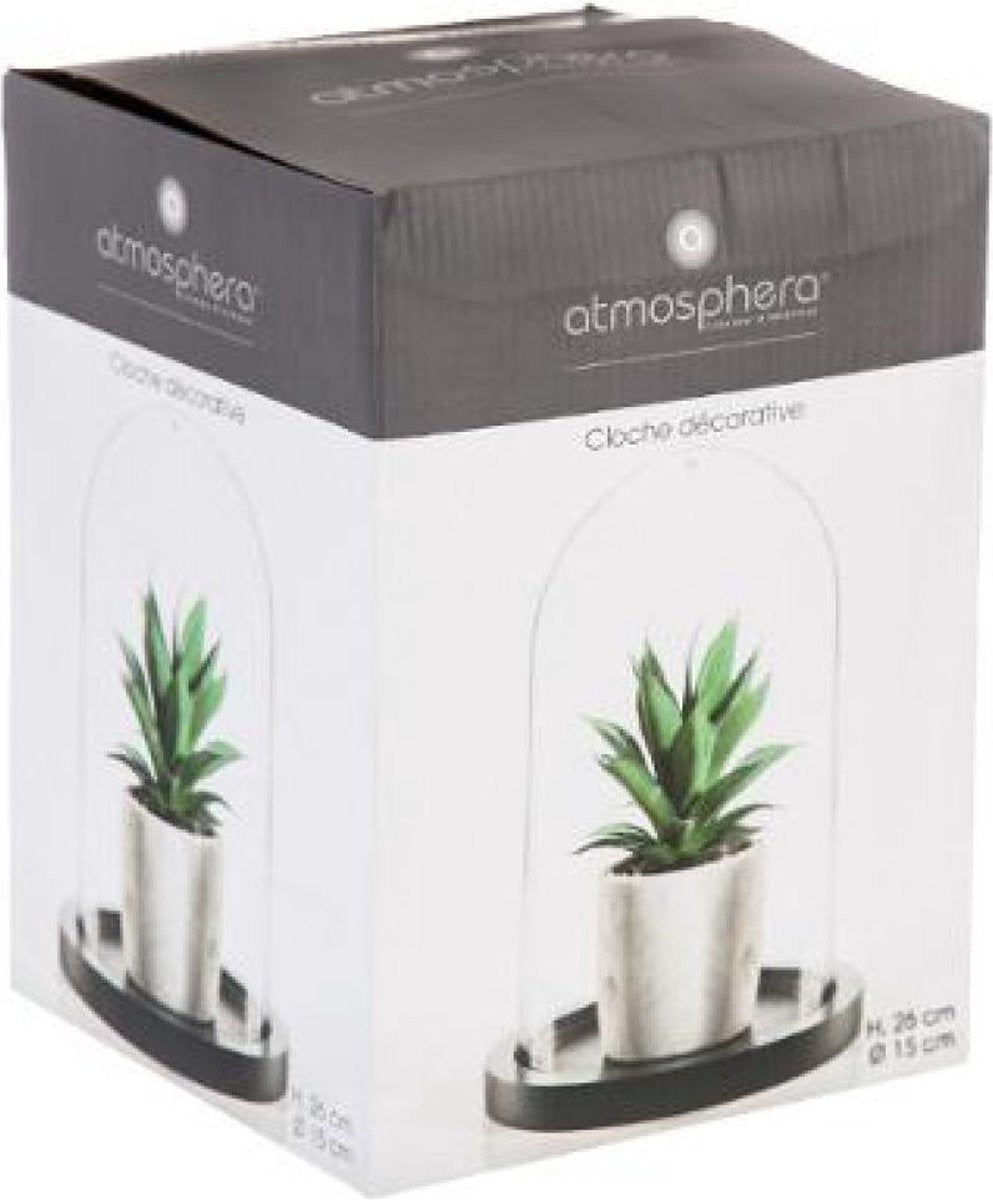 Atmosphera Home decorative glass cloche on a wooden base
