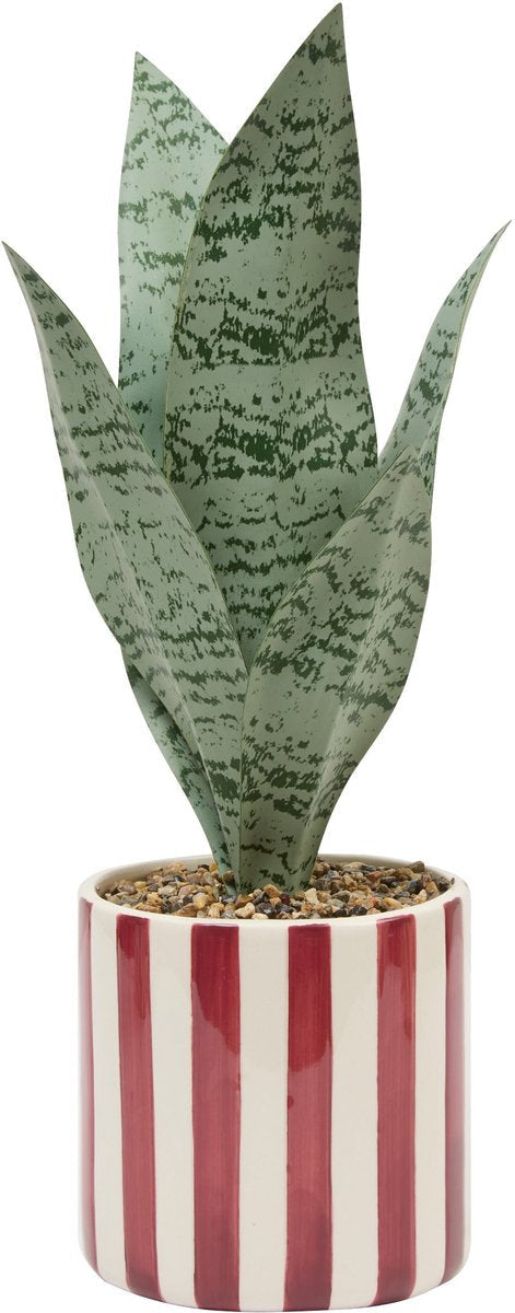 Atmosphera Plante artificielle Sansevieria Chéri avec pot en céramique - Ø12xH38cm - Rouge