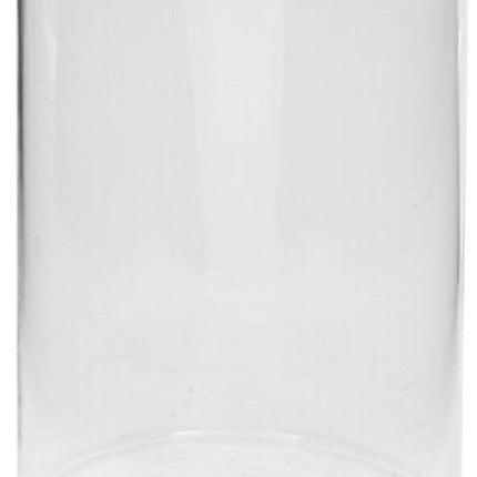 Lidy Vaas - Glazen Vaas - Set van 2 - Decoratieve Bloemenvaas - Ø14 x 20 cm - Transparant