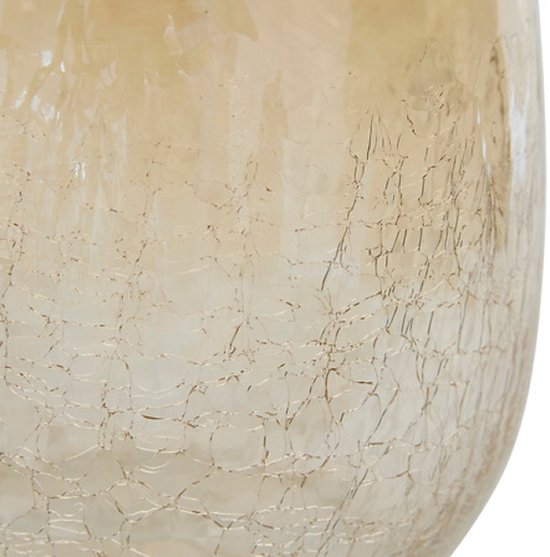 Vaas - Bloemenvaas - Glazen Vaas - Set van 2 - Crackle Glas - Luxe Interieur Decoratie - 25 cm & 39 cm in Hoogte - Transparant