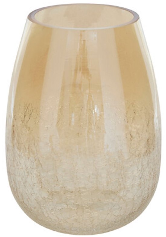 Vaas - Bloemenvaas - Glazen Vaas - Set van 2 - Crackle Glas - Luxe Interieur Decoratie - 25 cm & 39 cm in Hoogte - Transparant