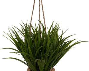 Collection image for: Plantes artificielles