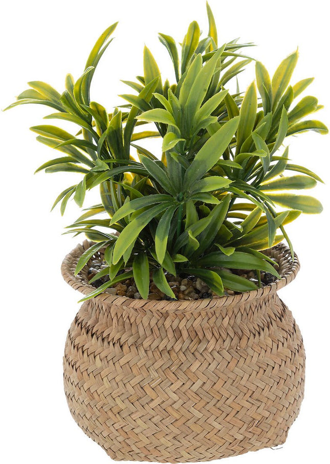 Plante artificielle en pot JIL, hauteur 20 cm