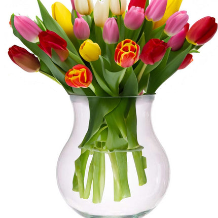 Giftdecor Bloemenvaas Artistica - luxe deco glas - helder transparant - 21 x 28 cm - sierlijke vaas