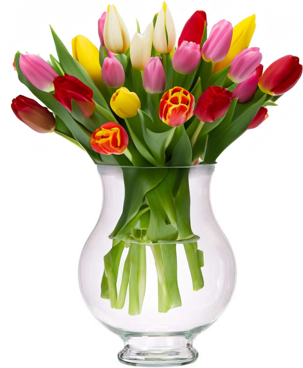 Giftdecor Bloemenvaas Artistica - luxe deco glas - helder transparant - 21 x 28 cm - sierlijke vaas