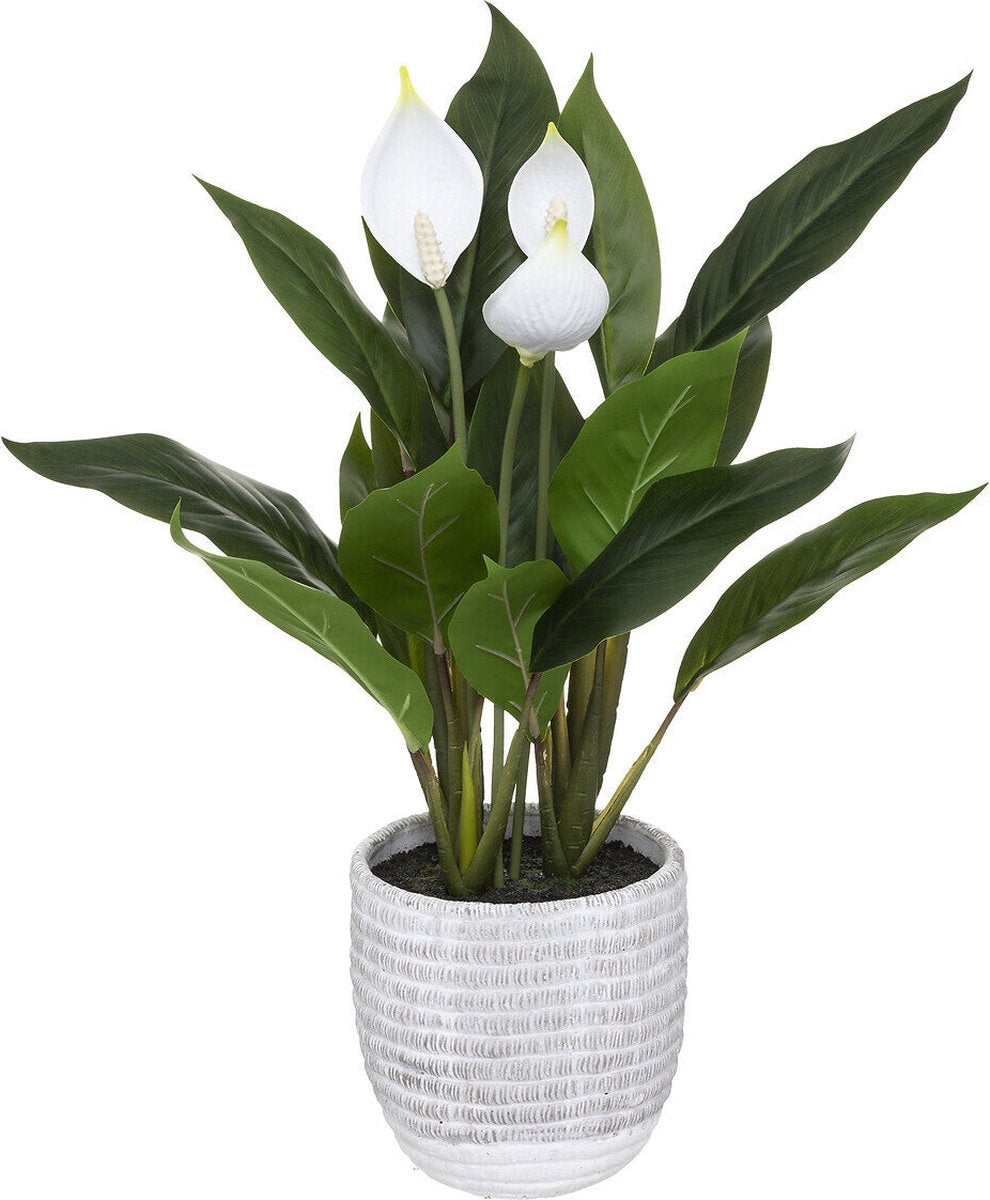 Atmosphera Artificial Plant - Peace Lily with Pot - Ø30xH54cm - Green
