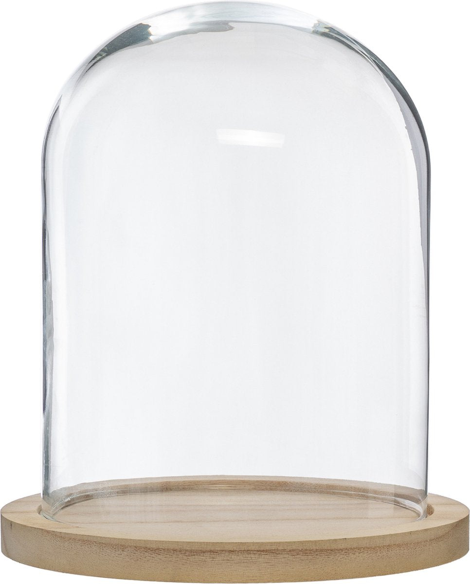 Wohndekoration Glasglocke auf Holzplatte - Glas/Hellbraun - D23 x H29,5 cm