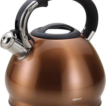 Bouilloire - Acier inoxydable - 3,4 litres