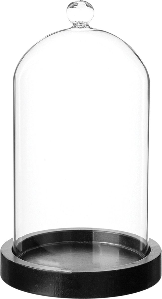 Atmosphera Home decorative glass cloche on a wooden base