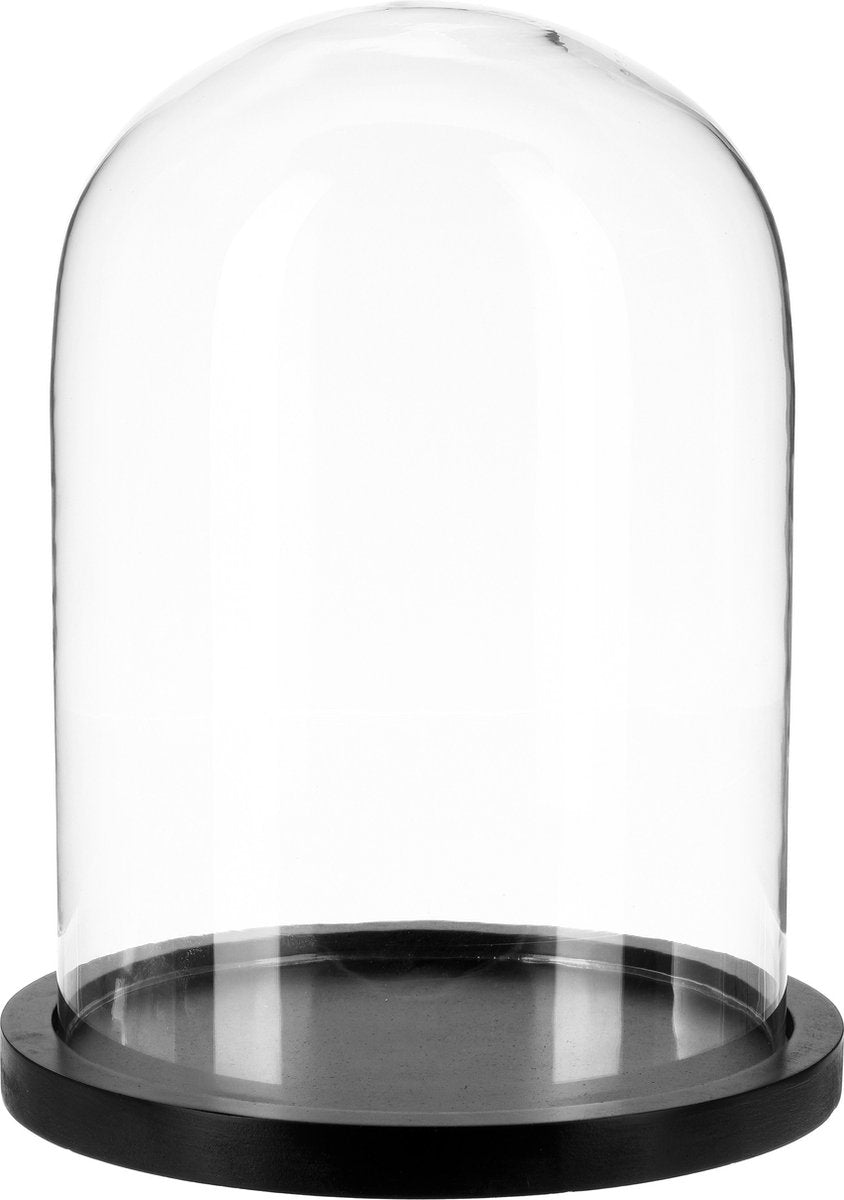 Atmosphera Home decorative glass cloche on a wooden base
