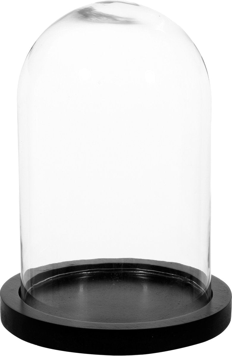 Atmosphera Home decorative glass cloche on a wooden base