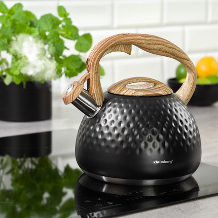 Klausberg KB-7562 - bouilloire sifflante - 2,8 L - acier inoxydable - toutes sources de chaleur