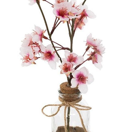 Branche de cerisier dans un vase en verre