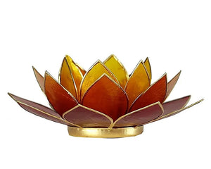 Collection image for: Photophores