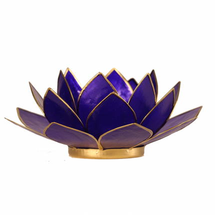 Veilleuse Lotus indigo