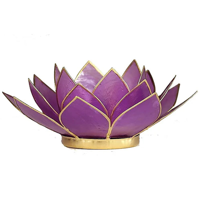 Photophore Lotus lilas, bordure dorée