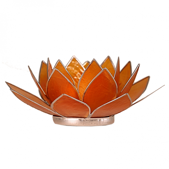 Photophore Lotus orange