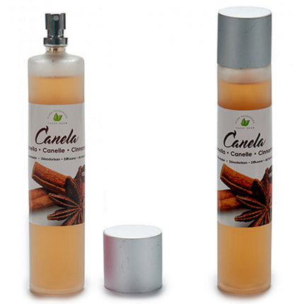 Spray désodorisant Cannelle 100 ml