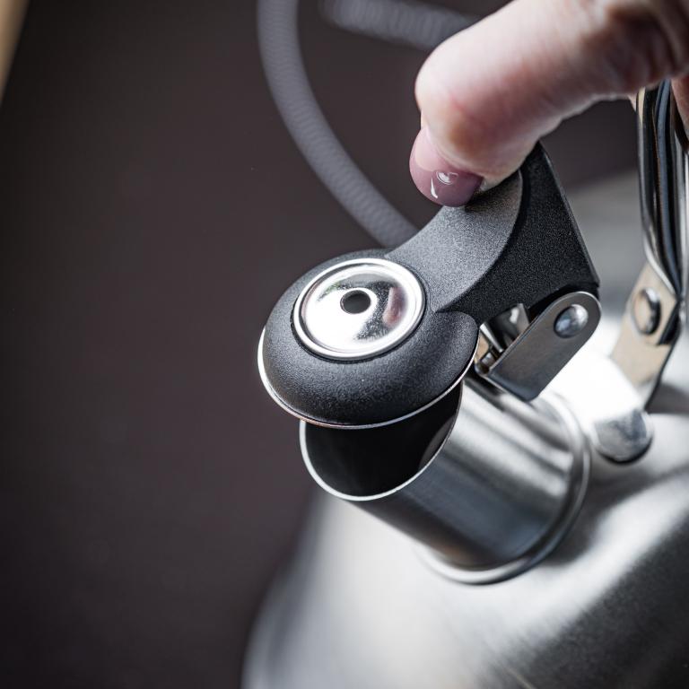KingHoff RVS Fluitketel 2, 5L – Geschikt voor Alle Warmtebronnen, Met Fluitsignaal en Ergonomisch Handvat