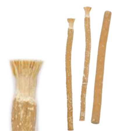 Miswak Stokje Naturel