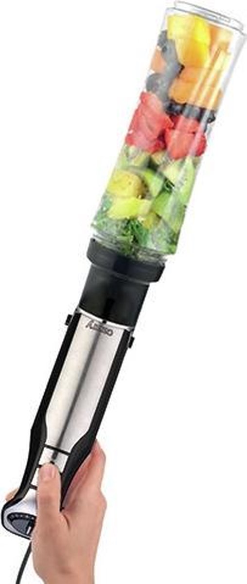 Stabmixer & Smoothiemaker in 1 CR 4615 Camry