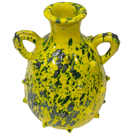 Vase cruche piquants à deux anses
