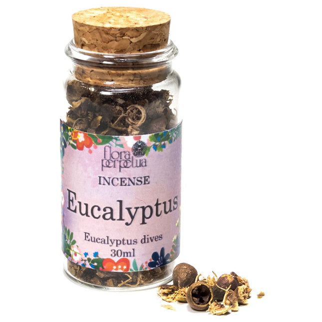 Herbe d'encens à l'eucalyptus